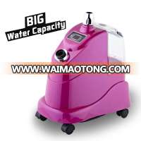 LT-809 Fuchsia Rose household modern fashion clothes steamer garment machine